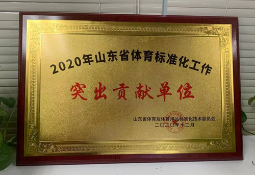 恭喜豪门国际荣获山东省体育及体育用品标准化技术委员会授予“突出贡献单位”荣誉称号